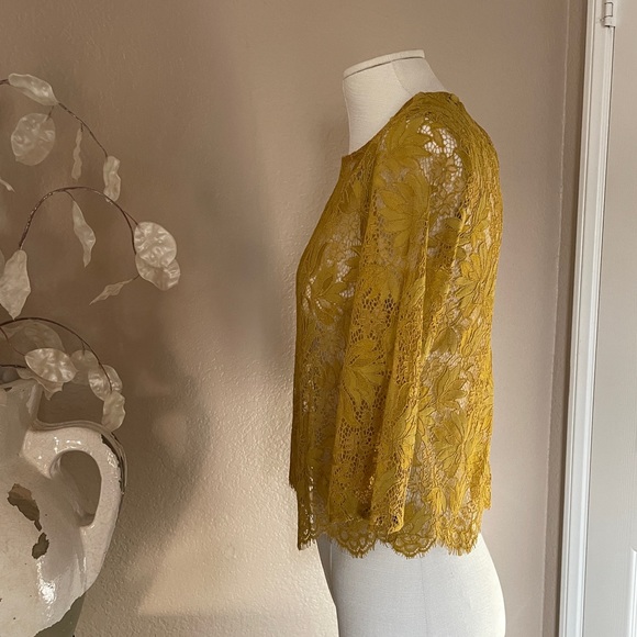 Zara lace top - Picture 2 of 7